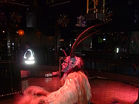 Freitag, 05.12.2014 - Devils Night