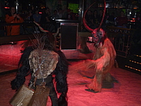 Freitag, 05.12.2014 - Devils Night